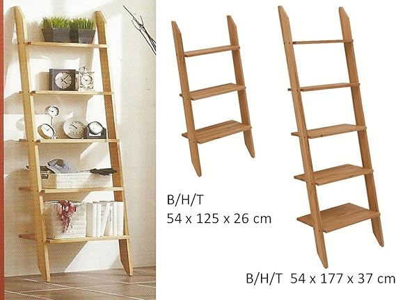 TAKE IT Leiter - Regal - Standregal - Kernbuche oder Wildeiche massiv