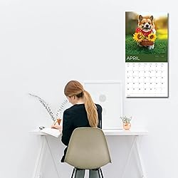 July 2025- December 2026 Wall Calendar 18 Month