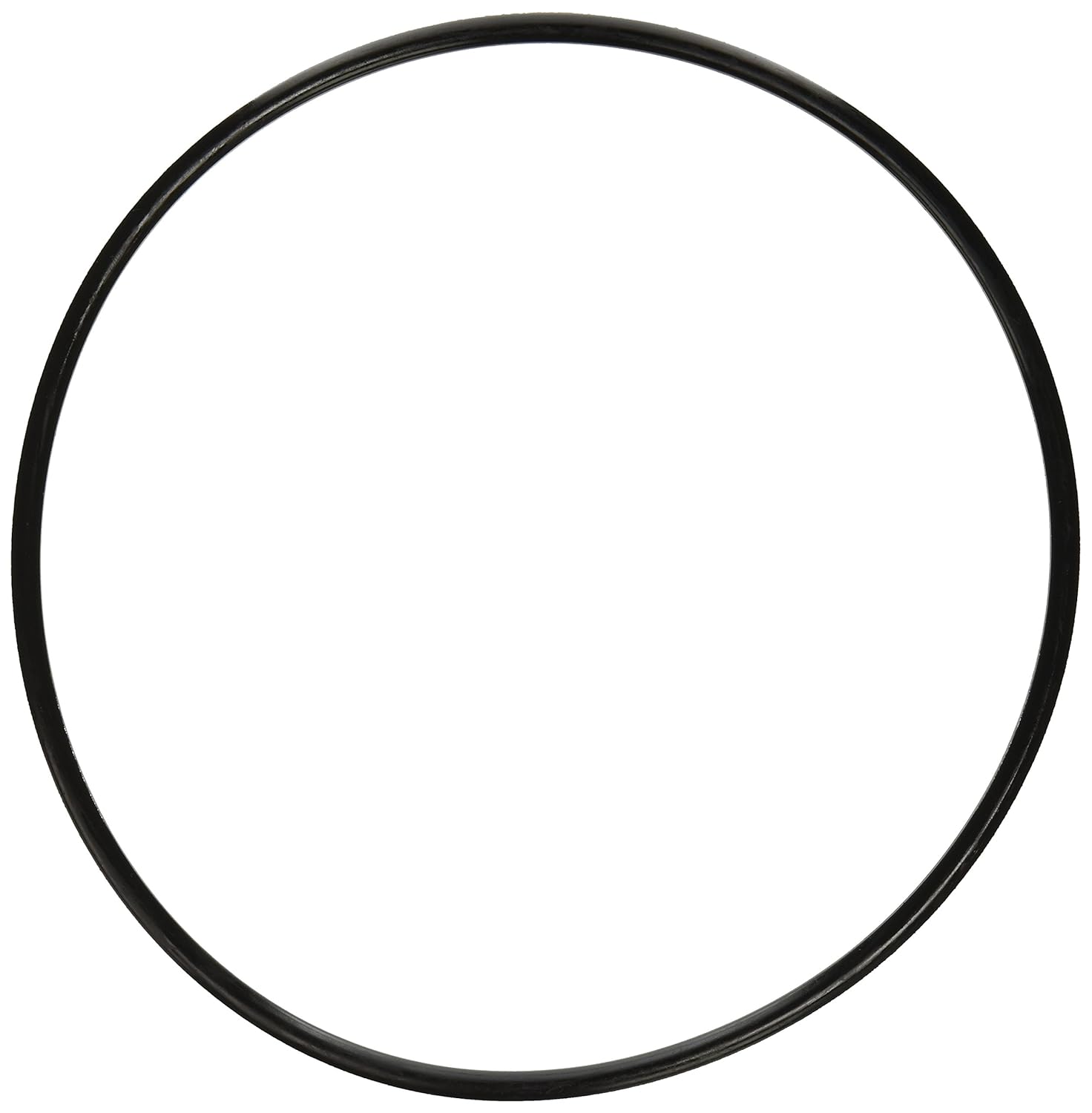 Pentair 87300400 Body O-Ring Replacement Pool and Spa Filter