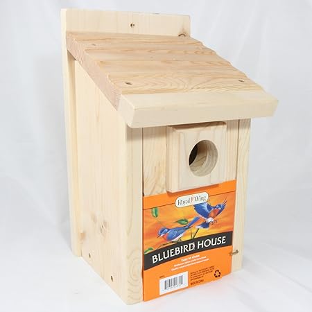 Amazon Com Royal Wing Blue Bird House Garden Outdoor