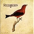 Redbird