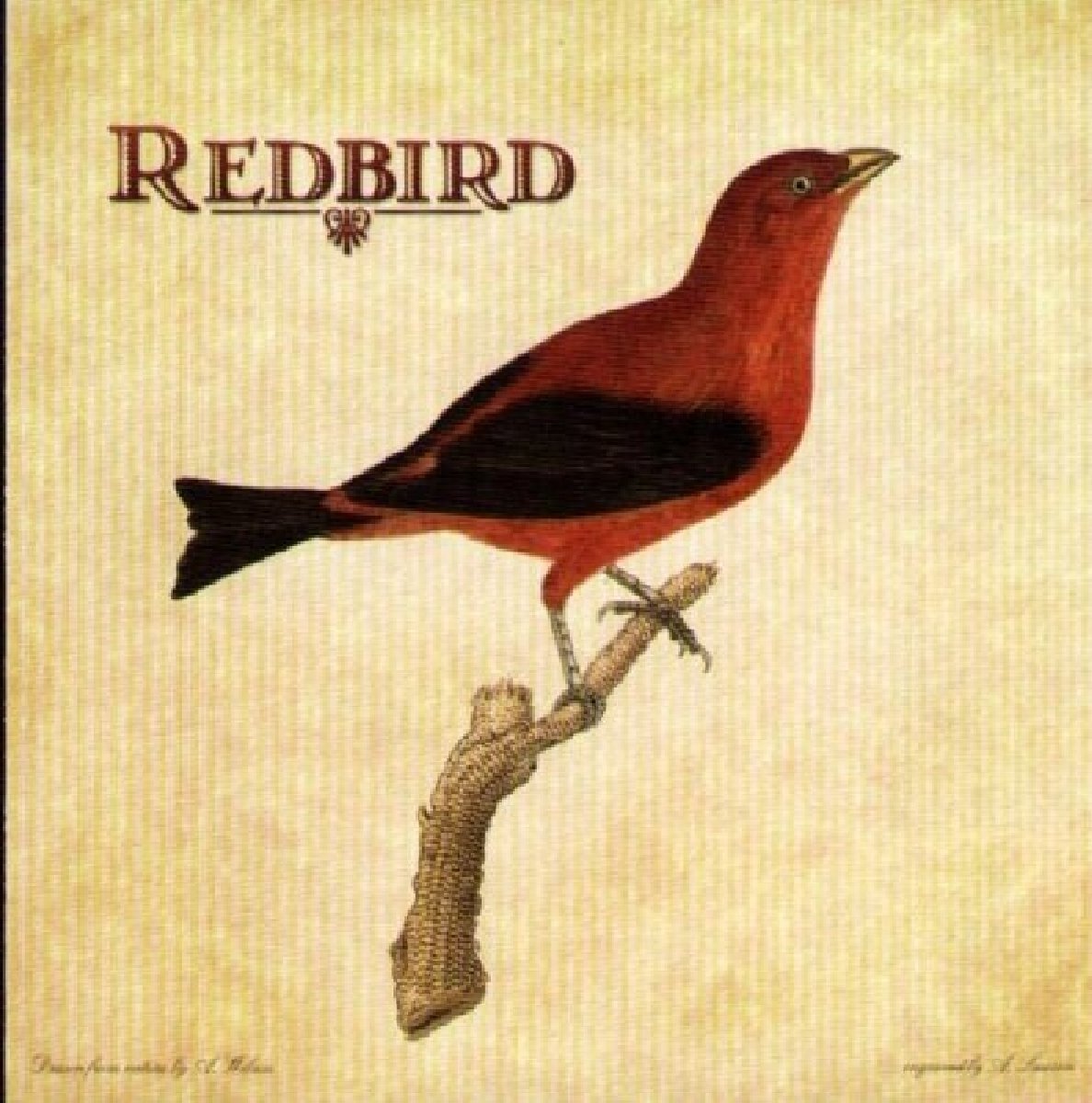 REDBIRD Redbird Music