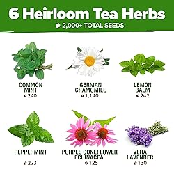 HOME GROWN Medicinal Herb Seeds Vault