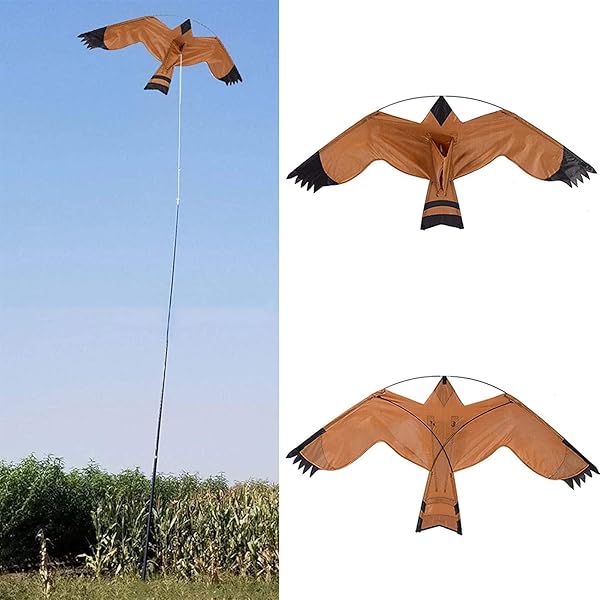 Bird Scarer Kite