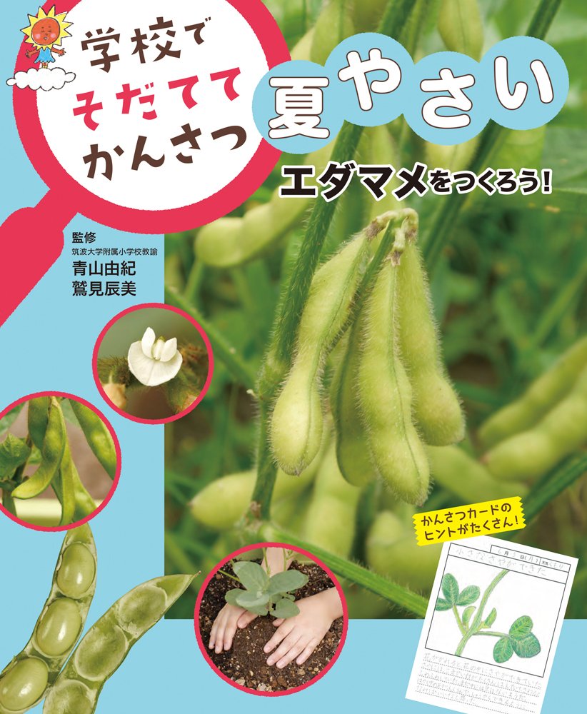 エダマメをつくろう 学校でそだててかんさつ夏やさい 由紀 青山 辰美 鷲見 本 通販 Amazon