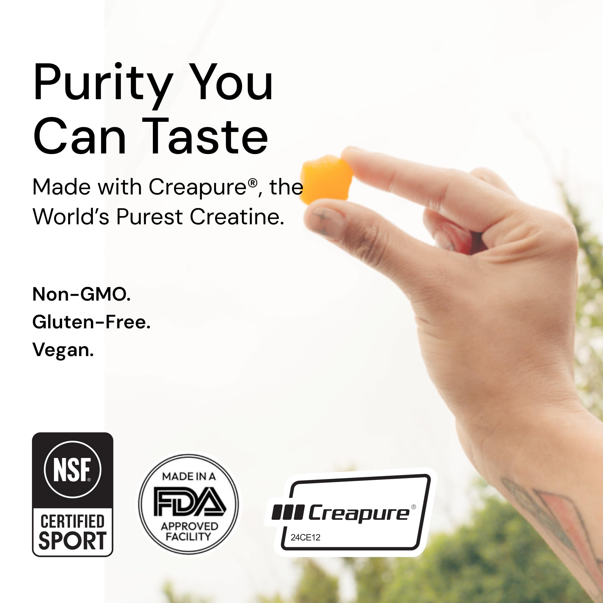 Create Creatine Gummies for Men & Women - NSF Certified, 3rd Party Tested, Made with Creapure Creatine Monohydrate Powder, Great Tasting, Anti-Melting Formula, 90 Count (Orange)