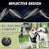 SlowTon Dog Car Harness Seatbelt Set, Breathable Mesh Vest Harness view 8