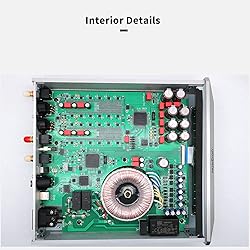 Musician Pegasus R2R DAC Decoder DSD1024 PCM1536