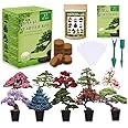 Bonsai Tree Seeds Kit 10 Popular Varieties Soil Pots Plant Markers Bonsai Starter Kit with Grow Guide