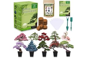 GMBTHO Bonsai Tree Seeds Kit 10 Popular Varieties Soil Pots Plant Markers Bonsai Starter Kit with Grow Guide