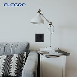 ELEGRP 2-Gang 1-Toggle Light Switch