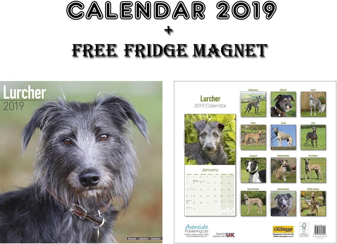 Lurcher Square Wall Calendar 2019 + Blank Fridge Magnet