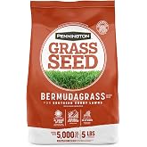 Pennington Bermudagrass Southern Grass Seeds for Lawn, 5 lb | Full Sun for 8+ Hours Daily, Improved Cold Tolerance, Wear-Resistant Turf, Deep Root System, Spring Planting Season