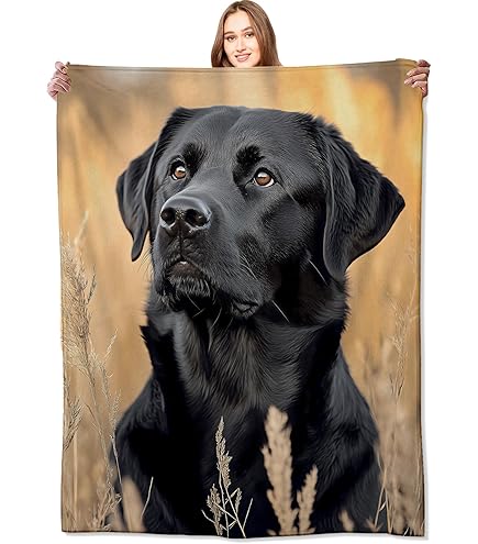 Taie D'oreiller Inédite - Race De Chien Labrador Chocolate - Coton/Polyester