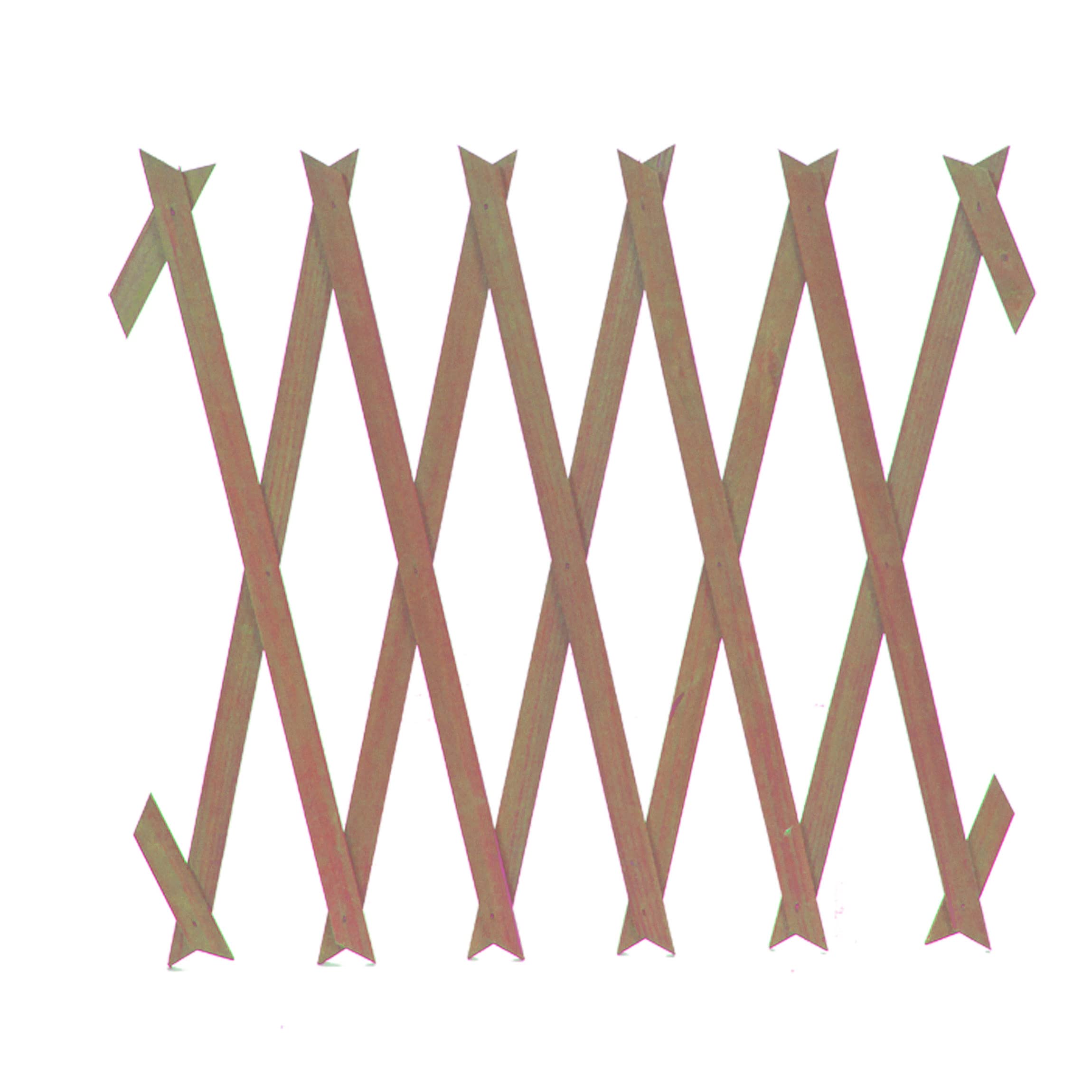 VFM - Expanding Wooden Trellis 150cm X 30cm - Roots & Shoots