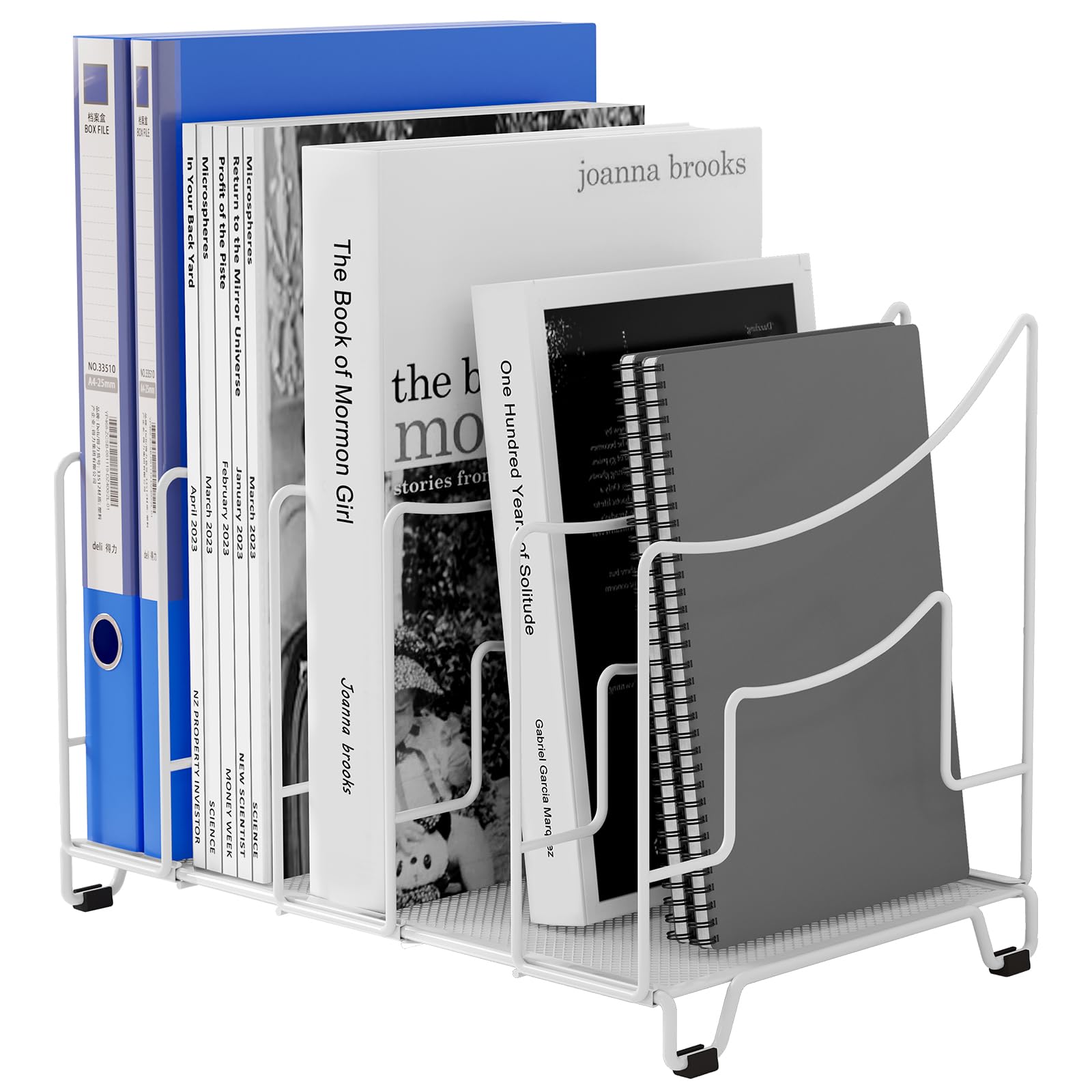 EasyPAG Desktop A4 Office Desk File Holder Paper Organiser Magazine Storage Filing Rack,White