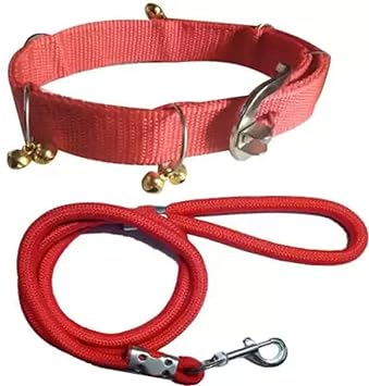 S.Blaze 1 INCH RED Designed Dog Collar Belt, 1.5M-2M LENGTHY Dog Dog Collar & Leash (Medium, Multi Color)