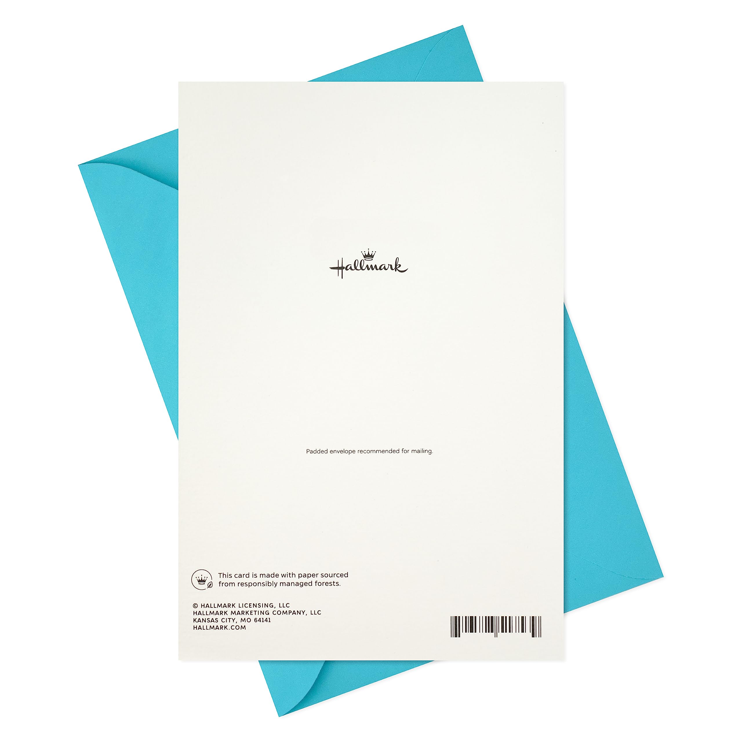 Hallmark Birthday Card for Husband, Wife, Boyfriend, Girlfriend (My Love)