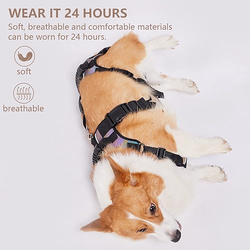 Coodeo Dog Voodoo Dog Lift Harness Coodeo Dog Lift Harness, Full