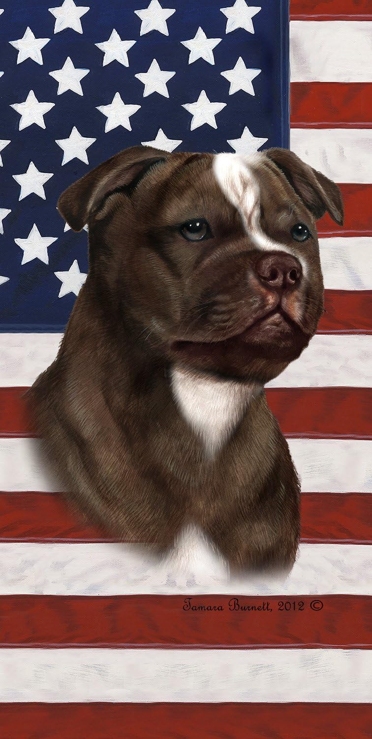 micro staffordshire bull terrier