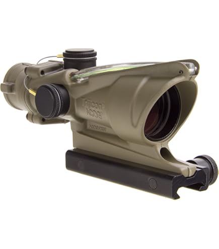 Amazon.com : Trijicon ACOG TA31-D-100313 4x 32 Dual