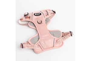 2026 New Edition, Fei & Eve Cloud Reflective Dog Harness – 3 Leash Attachment Clips | Lightweight Padded Comfort | Breathable