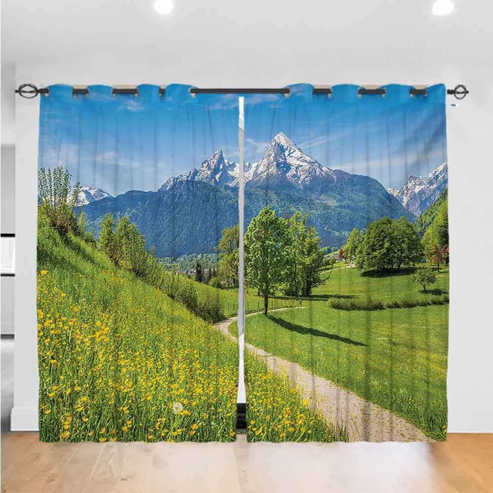 Mountain Simple Curtain Spring Scenery in Alps with Floral Grass and Snowy Mountain