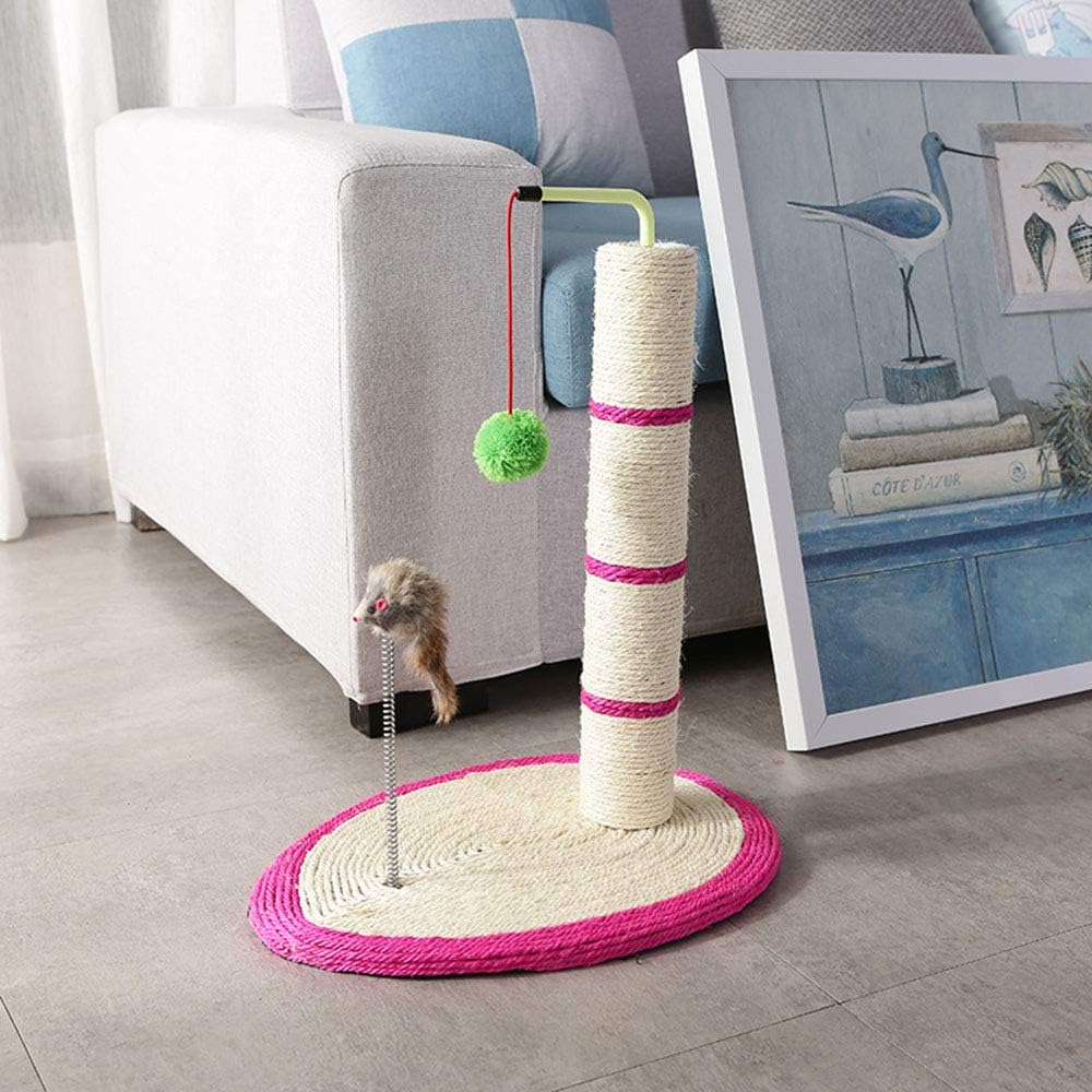 cat climbing furniture