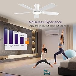 NKPU 52inch Ceiling Fans with Lights, Low Profile