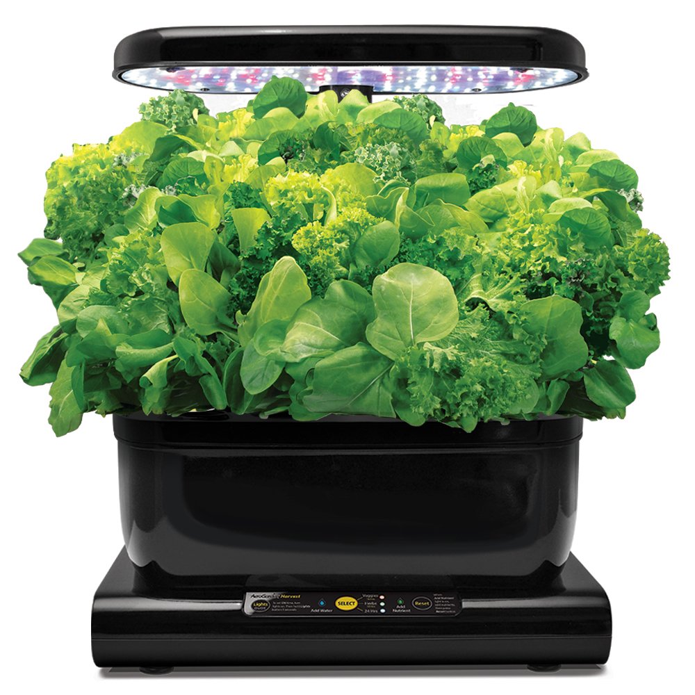 AeroGarden Hydroponic Indoor Herb Garden Salad Greens Seed Pod Kit (6