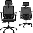 Ergonomic Office Chair, Mesh Chair with Lumbar Support, Tribesigns High Back Desk Computer Chair with Breathable Mesh, Thick