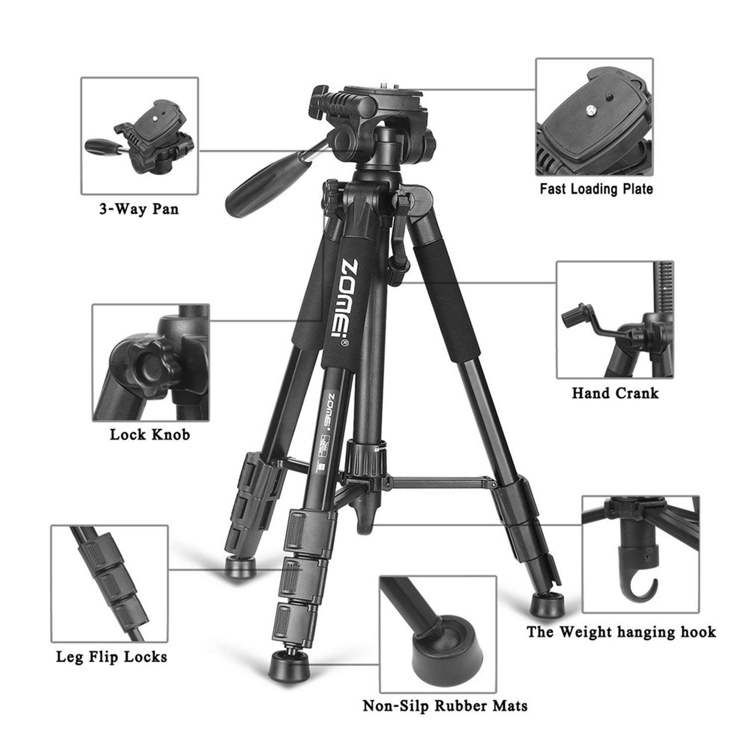 View 4