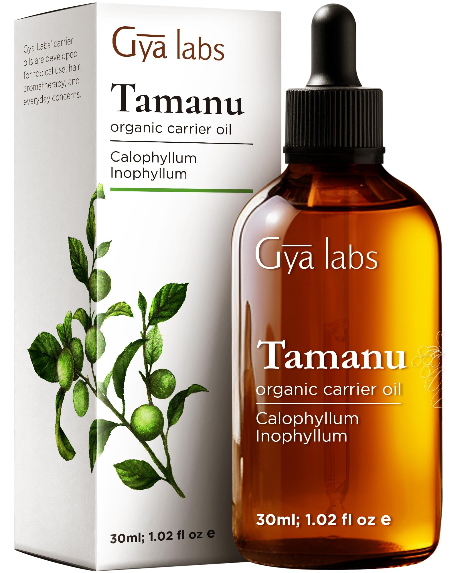 Gya Labs Organic Tamanu Oil For Skin & Face - 100% Pure Natural Unrefined Tamanu Carrier Oil for Hair - Soothing & Renewing (30ml) โ image 1