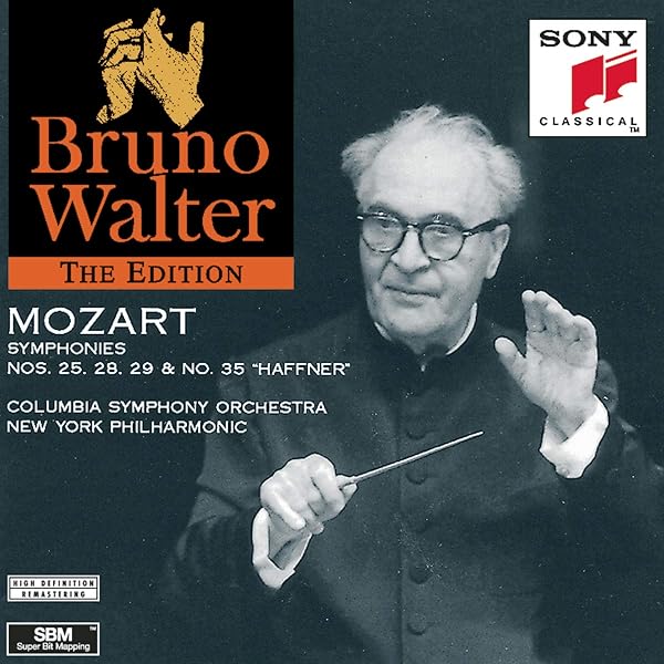 Zinman- Great Symphonies コレクション Zinman Great Symphonies & Other Classical Works [Arte Nova 50 CD