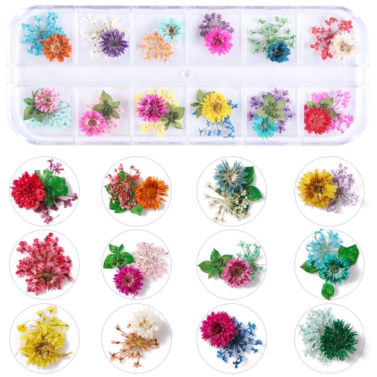 2 Boxes Dried Flowers for Nail Art, KISSBUTY 24 Colors Dry Flowers Mini Real Natural Flowers Nail Art Supplies 3D Applique Nail Decoration Sticker for Tips Manicure Decor (Gypsophila Flowers Leaves): Beauty