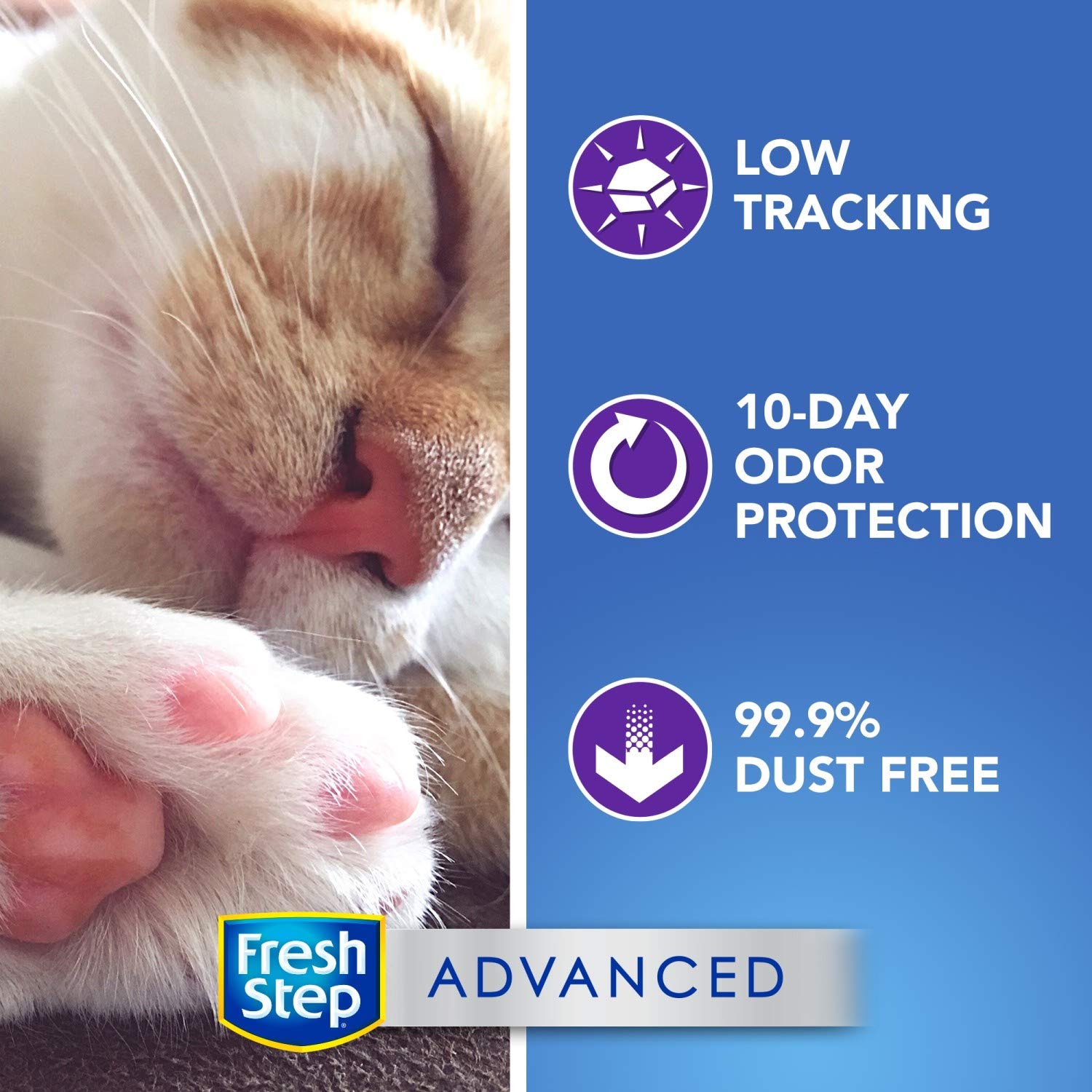 Advanced Multi-Cat Cat Litter