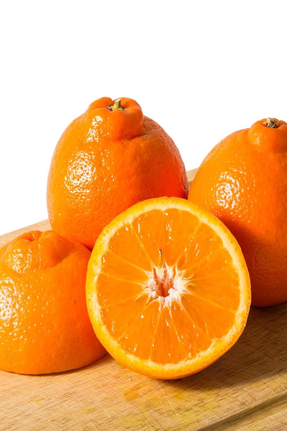 Minneola Tangelo Tree, Mandarin Grapefruit Hybrid Citrus