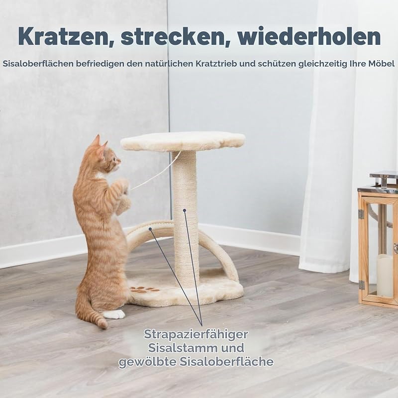 Kratzbaum Vitoria 43 cm in beige/natur – kleiner Katzenbaum für junge & kleine Katzen mit gemütlicher Liegefläche, komfortabel & stabil – 43751