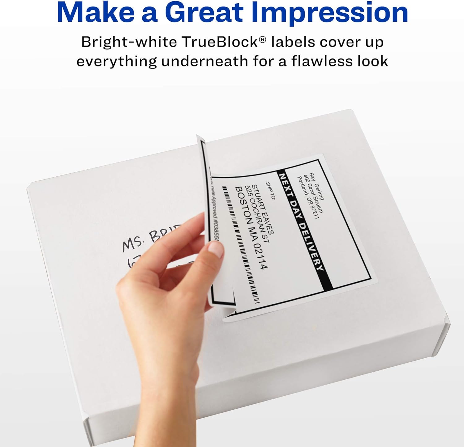 Avery 8163 Shipping Labels, Inkjet Printers, 250 Gift Labels, 2x4 Labels, Permanent Adhesive, TrueBlock, White : Office Products