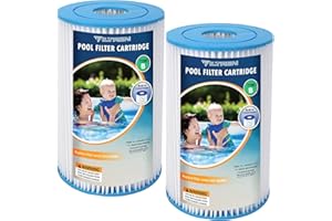 FILTREN Type B Pool Filter Replacement Cartridges for Jacuzzi, Whirlpool, Hot Tub, Swimming Pool, Spa, Compatible with INTEX 2500 GPH Filter Pump-2 Pack