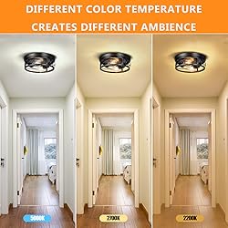 Feanron Farmhouse 2-Light Black Flush Mount Ceiling