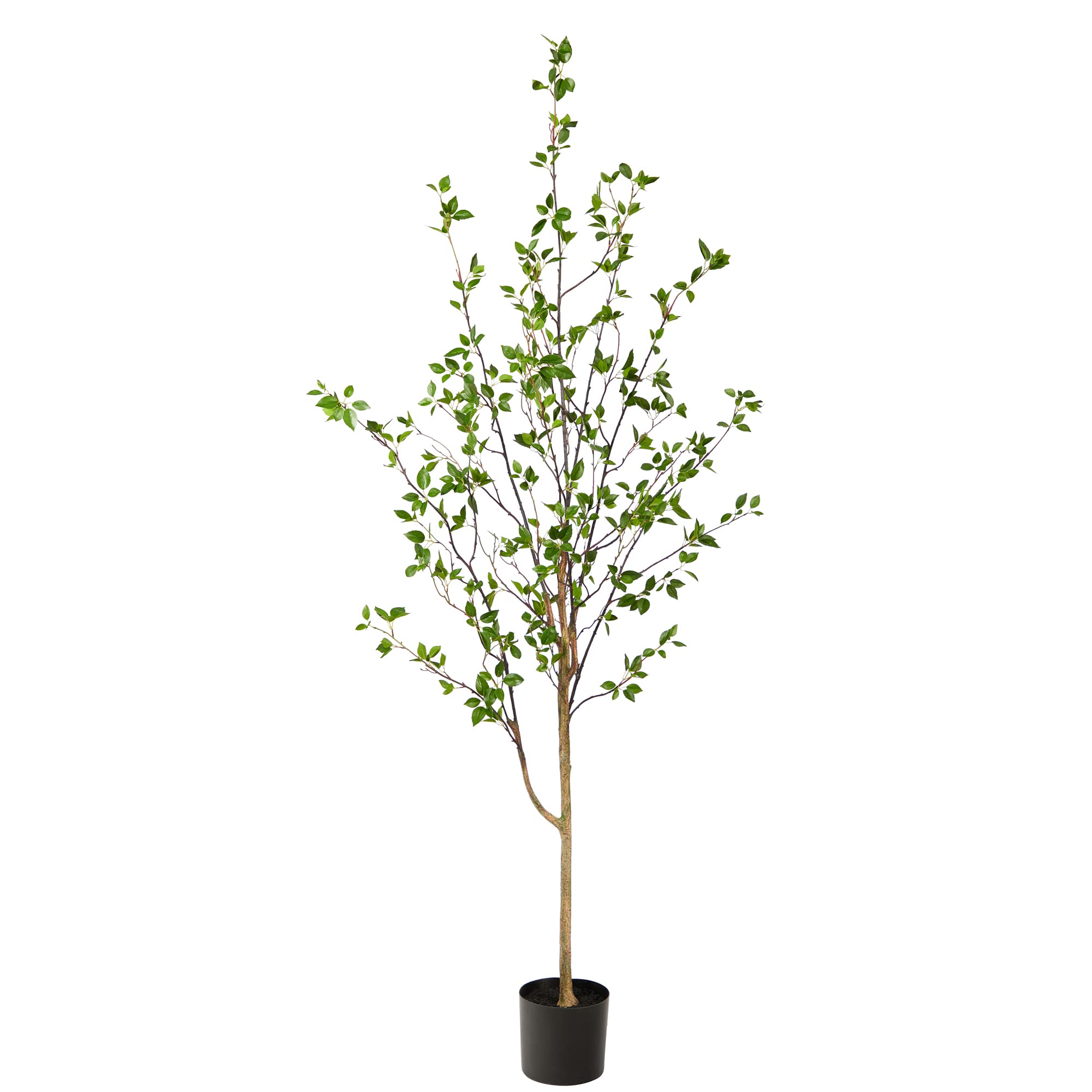 Photo 1 of **SIMILAR TO PHOTO** Nearly Natural 4ft. Minimalist Citrus Artificial Tree