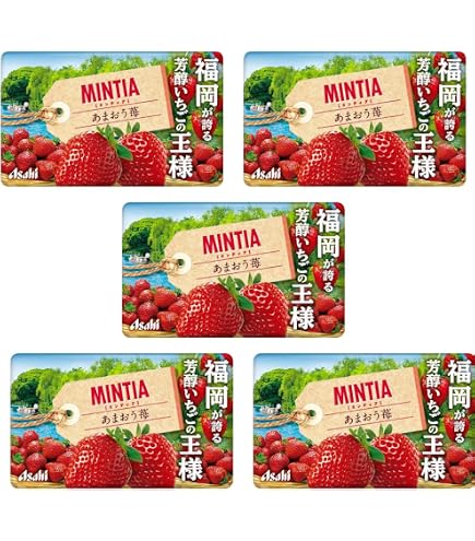 Amazon.com : Mintia Japanese Mint Tablet Candy Assortment Grape