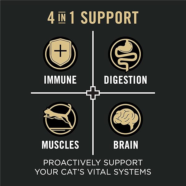 PURINA PRO PLAN VITAL SYSTEMS CHICKEN AND EGG FORMULA 4-IN-1 ADULT DRY CAT FOOD – 3 LB. BAG