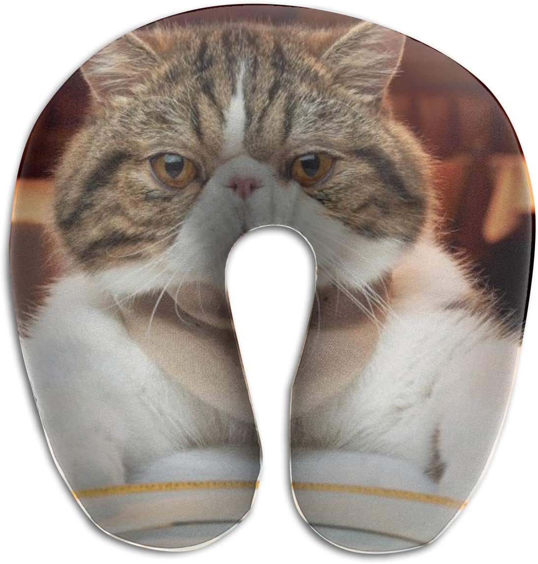 should i buy a cat u car