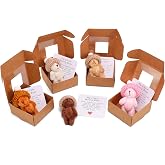 Guiqulai 5pcs Handmade Mini Plush Teddy Bear in a Box | My Little Worry Bears, Emotional Uplifting Support Card, Tiny Stuffed Animal Gift for Friends Coworkers