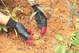 IME Garden Gloves with Claws Waterproof Digging Planting Farm Work Black One view 5