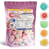 Gummy Glow Wax Candy 12oz Bulk Pack, Retro Chewy Wax Candies for Old School Candy Lovers with 55-65 Pieces & 5 Flavors, Nosta