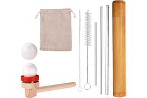 Fukaisu 10pcs Sound Straw Vocal Training and Auxiliary Tools, Stainless Steel Singing Straw Vocal Trainer with Brush Canister