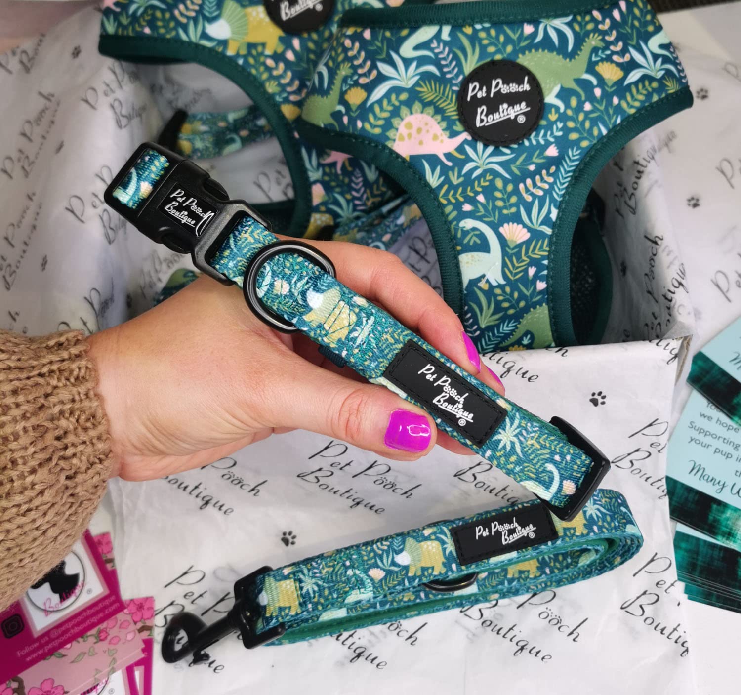 Dino Rawr Dog Collar - Large size